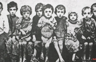 Holodomor as genocide: Bundestag wants to condemn...