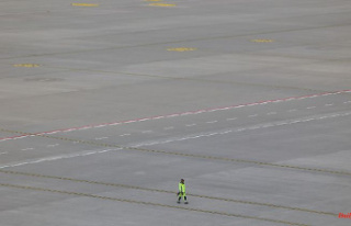 Runways released again: climate stickers paralyze...