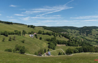 Baden-Württemberg: Mountain pastures have a future...