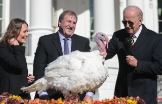 White House ceremony: Biden pardons Thanksgiving turkeys