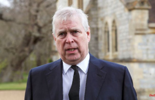 Royal takes on government: Prince Andrew loses police...