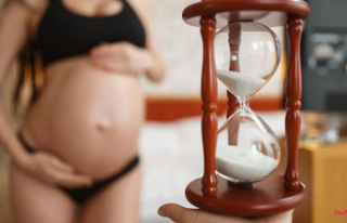 Waiting after a miscarriage?: Pregnancy study refutes...