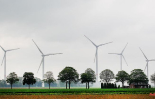 Thuringia: Siegesmund: allow wind turbines in the...