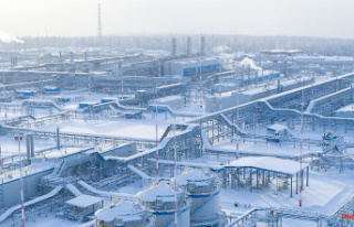 Export collapses: Moscow: Gas production drops significantly