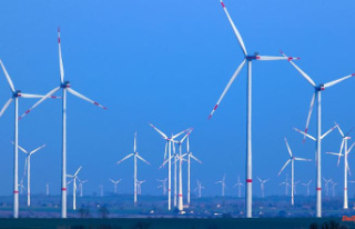 Saxony: newspaper: coalition with more space for wind...