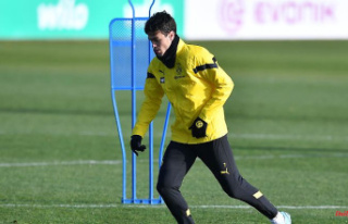 Accusation: listlessness: BVB professional was probably...