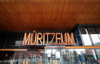 Mecklenburg-West Pomerania: Müritzeum shows internationally...