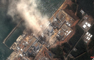 Eleven years after Fukushima: Japan reverses nuclear...