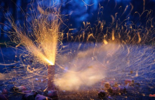 Bavaria: New Year's firecrackers thrown through...