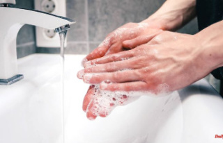 Hand hygiene with Öko-Test: Four liquid soaps are...