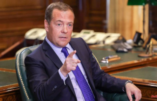 "Represent legitimate targets": Medvedev...