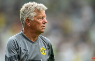 Hermann ends his great career: BVB assistant coach...