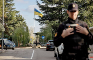 Animal eyes in mail: Ukrainian embassies receive "bloody"...