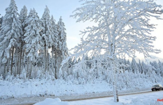 Thuringia: Snow-covered Thuringian Forest gives hope...