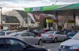 After panic buying at petrol stations: Hungary withdraws...