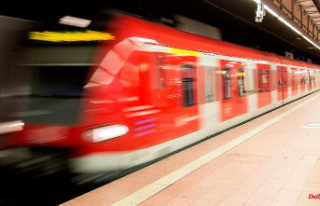 Doors closed and scolded about job: S-Bahn train driver...