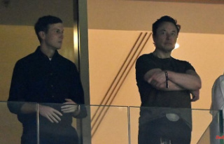 World Cup final with Kushner: Elon Musk with Trump's...