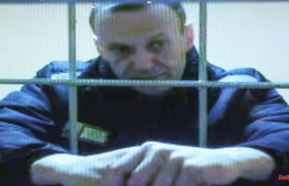 "16 hours on an iron stool": Navalny complains...