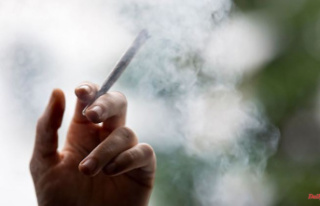 Baden-Württemberg: Release of cannabis: Experts meet...