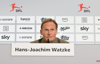 DFL is looking for leadership and direction: Watzke...