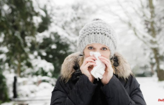 Temperature in the nasal cavity: Cold affects the...