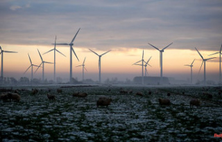 "A significant increase": Habeck sees wind...
