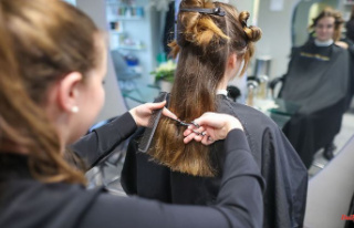 Saxony-Anhalt: dream job with worries: hairdressing...