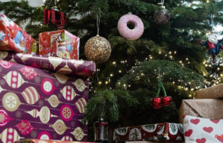 Sad mess in Bavaria: Brazen thief steals Christmas...