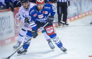 Baden-Württemberg: Extension: Spink brothers stay...