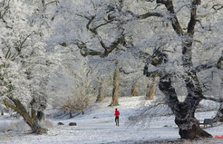 Even in winter: outdoor workouts "counteract...