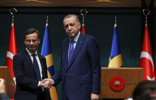 "Did what was discussed": Sweden: Turkey's...