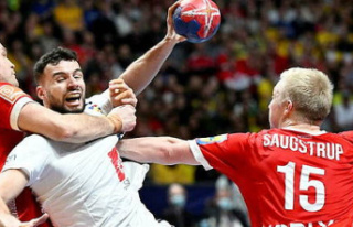 Handball World Cup: France beaten in the final by...