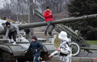 "Carnage is necessary": Expert sees Ukraine...