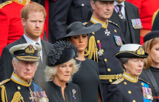 'Bad stepmother': Prince Harry begged Charles...