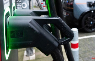 That can be expensive: Electromobility is under an...