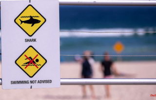 Dozens of animals sighted: Sydney beach closed after...