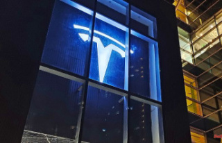 $700 billion gone: How far will Tesla stock fall?