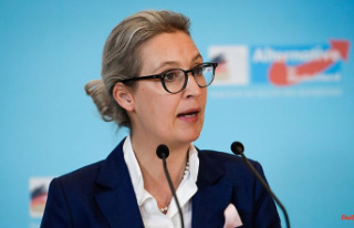 Ten years of right-wing party: Weidel sees AfD before...