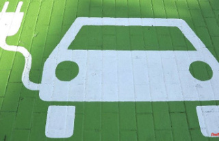 Money for electric car drivers: How to get the GHG...