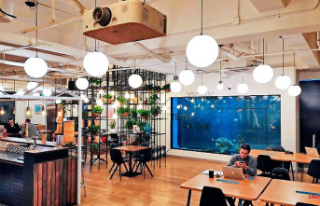 Coworking trend: "Working as a reason to come...
