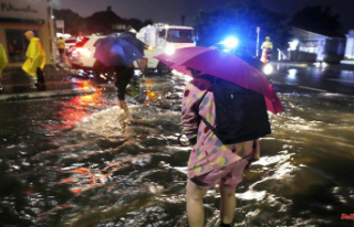 Heavy rains in New Zealand: flooding in Auckland claims...