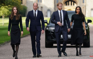 "Questioned very early on": Harry: William...