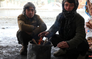 Houses damaged, livestock dead: cold snap in Afghanistan...