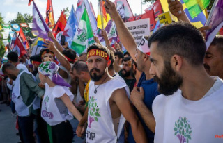 Party financing of the HDP: Next court decision that...