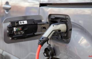 Fewer new registrations in January: interest in electric...