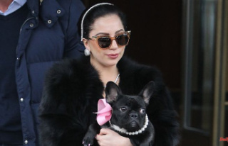 Compensation demanded: Lady Gaga sued by accomplice...