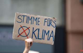 Baden-Württemberg: Fridays for Future plans 40 protests...