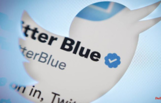Eight euros for a blue tick: paid subscription Twitter...