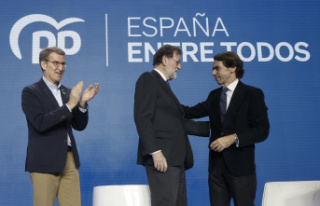 Aznar and Rajoy policy, "at the disposal"...