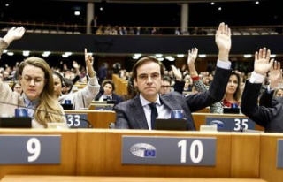 Corruption: the European Parliament lifts the immunity...